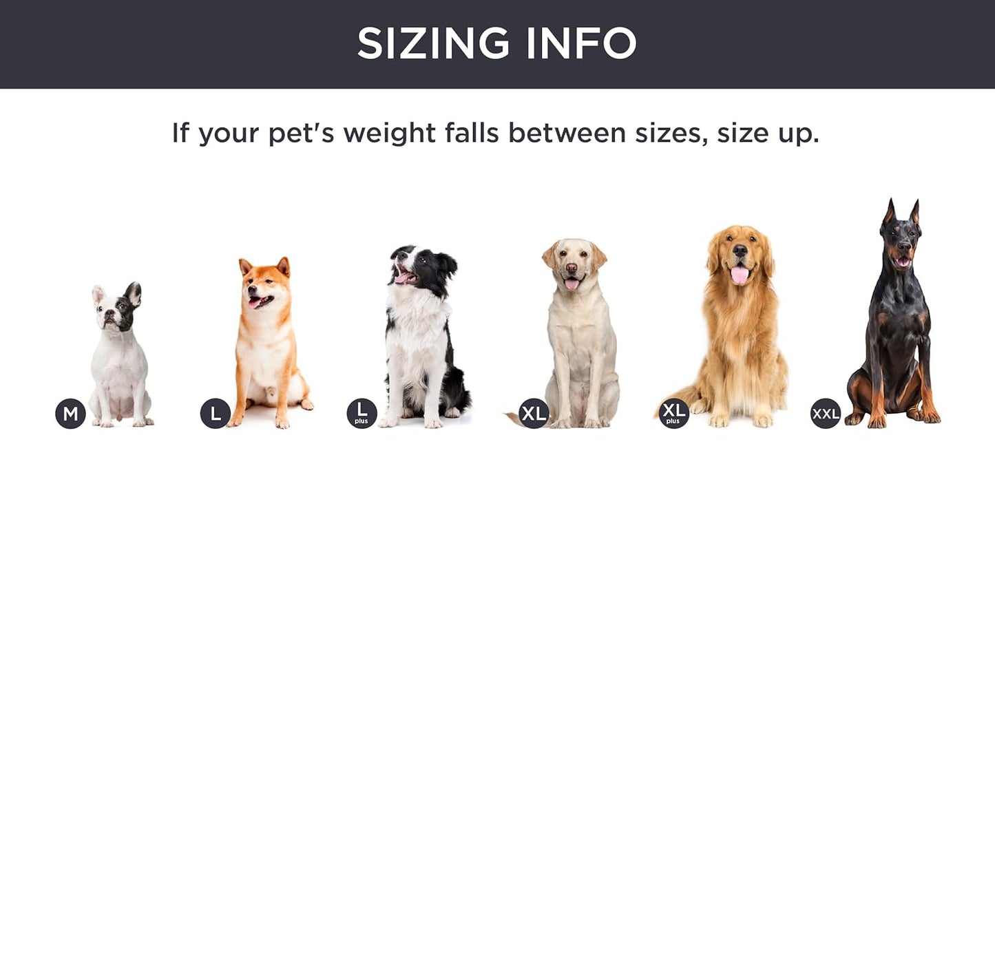 Max – Orthopedic Dog Sofa Bed with Removable Flannel Cover
