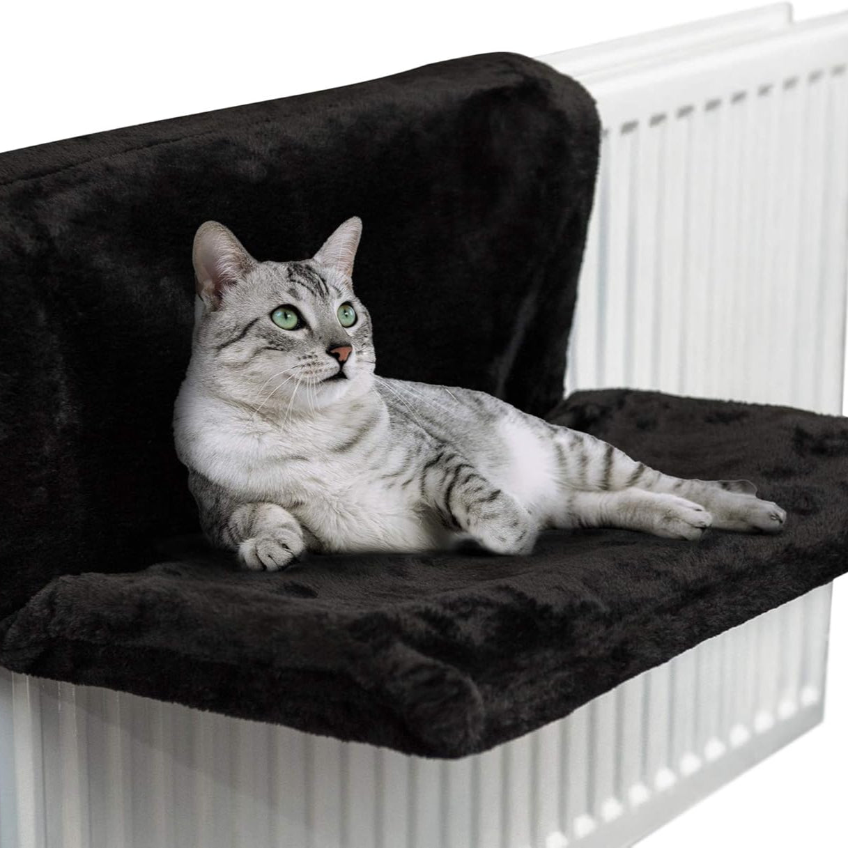 Whiskers – Radiator Hammock Bed