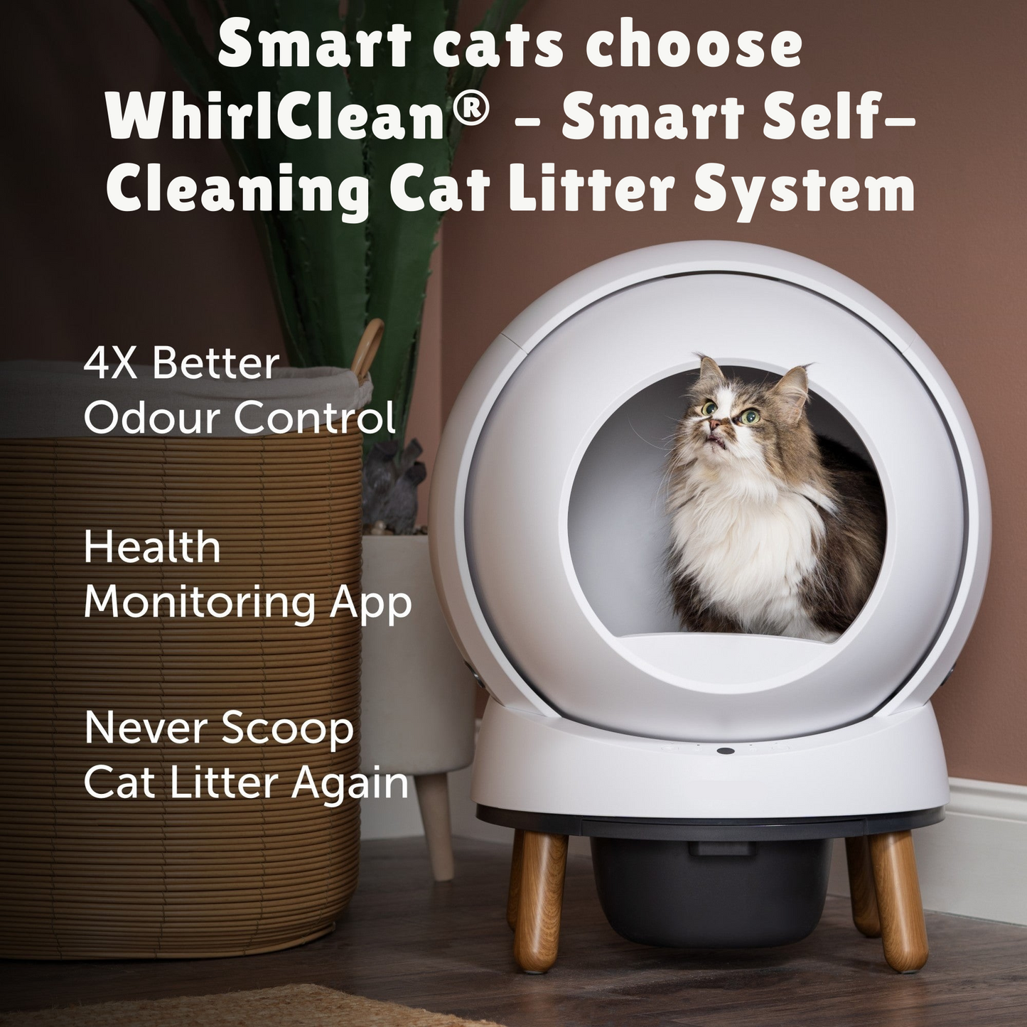 WhirlClean® – Smart Self-Cleaning Cat Litter System