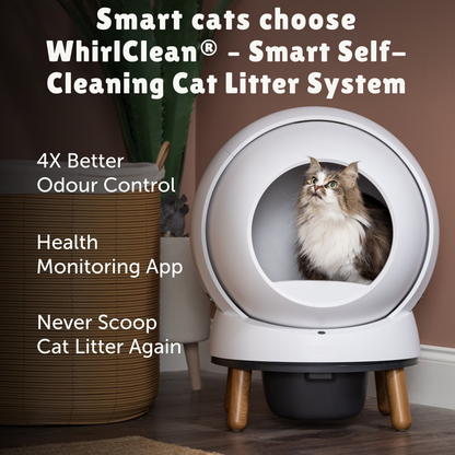 WhirlClean® – Smart Self-Cleaning Cat Litter System