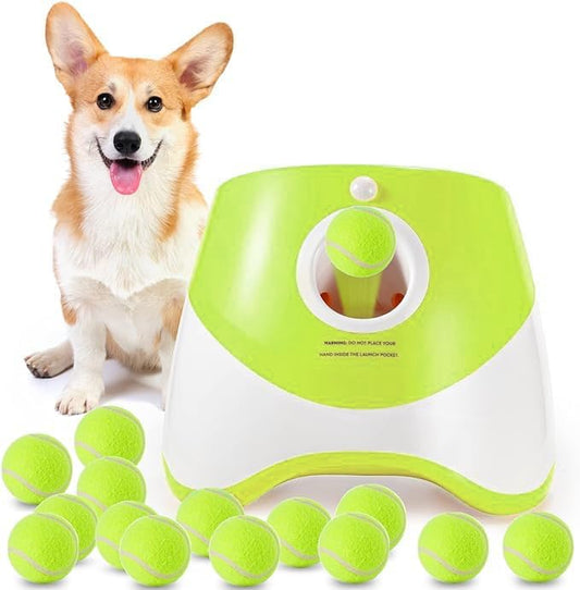 Chase – Interactive Automatic Ball Launcher for Dogs