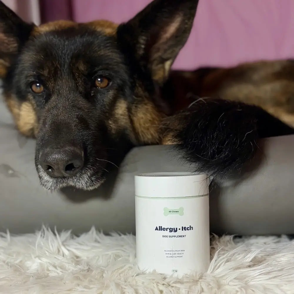 Allergy & Itch Supplement for Dogs