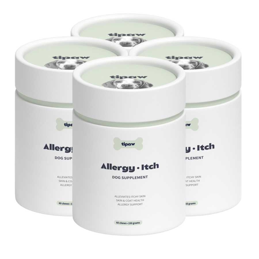 Allergy & Itch Supplement for Dogs