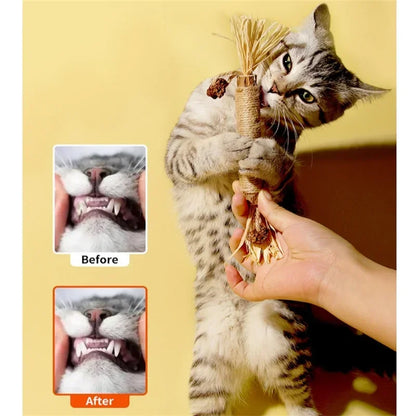 1/2/5/10PCS Pet Toy Natural Matatabi Pet Cat Snacks Stick Cleaning Tooth Catnip Cat Toys Actinidia Silvervine For Cats Accessory