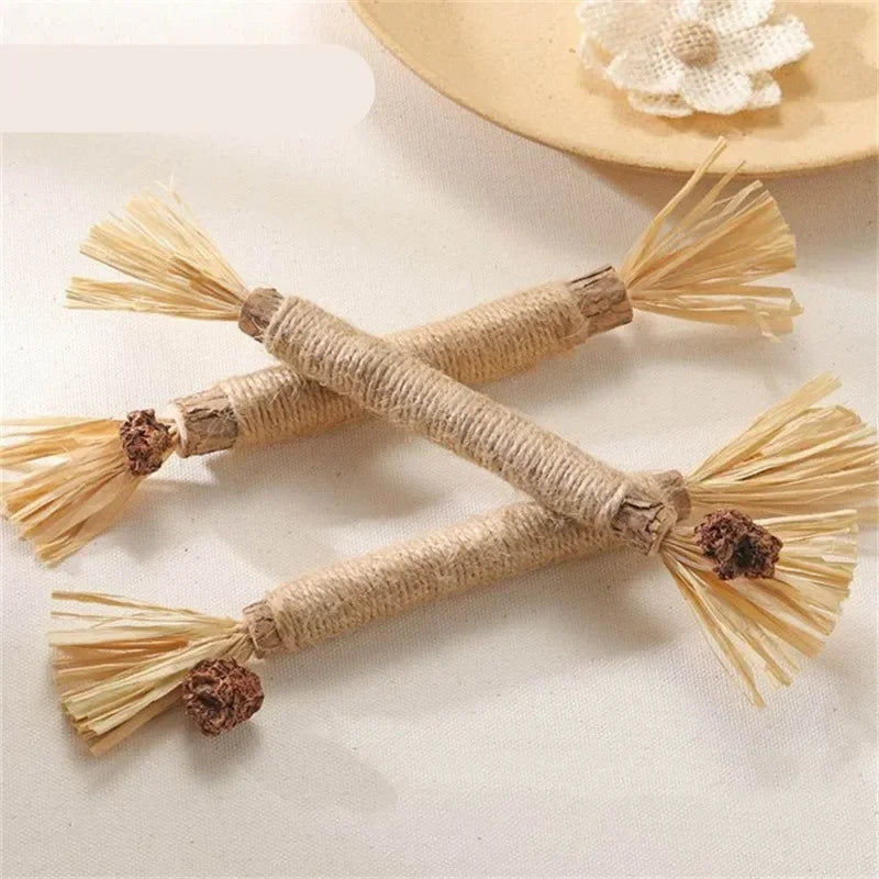 1/2/5/10PCS Pet Toy Natural Matatabi Pet Cat Snacks Stick Cleaning Tooth Catnip Cat Toys Actinidia Silvervine For Cats Accessory