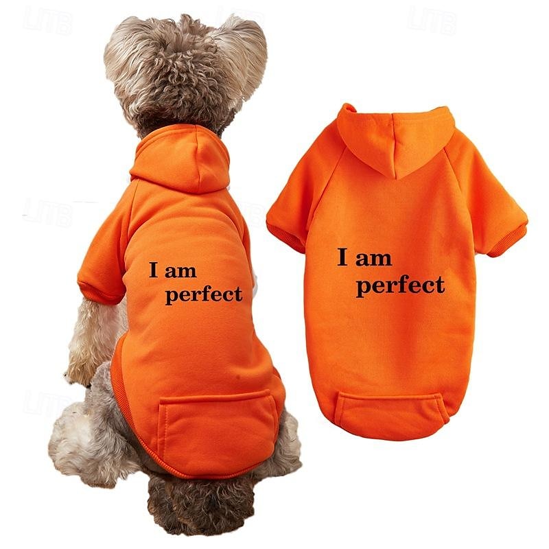 Dog Cat Hoodie Sports Casual Winter Breathable Soft Washable Comfortable Outdoor Casual Daily Dog Clothing for Bichon Frise Pomeranian Baby Pet Papillon Small
